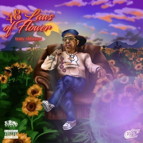 Important (feat. YSR Gramz) cover art