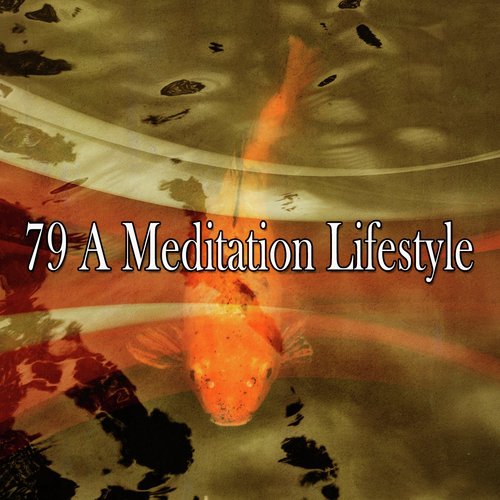 79 A Meditation Lifestyle