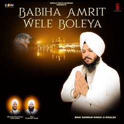 Babiha Amrit Wele Boleya-Rydbcy4BdHo