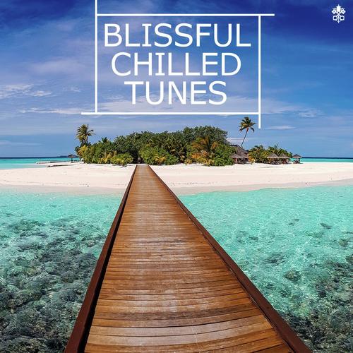 Blissful Chilled Tunes_poster_image