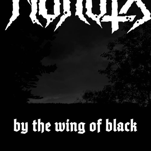 By the Wing of Black