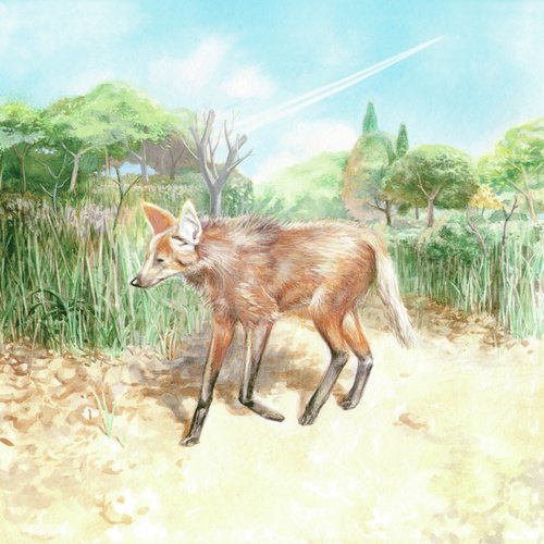 Andrés cover art
