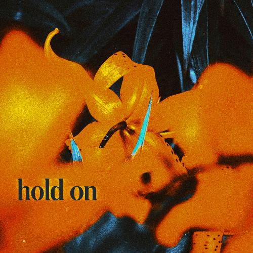 Hold On cover art