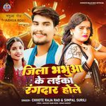 Jila Bhabhuaa Ke Laika Rangdar Hole