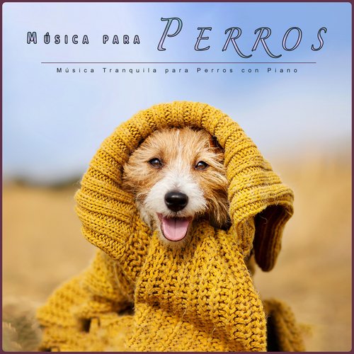 Música para dormir a los perros cover art