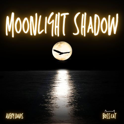 Moonlight Shadow (Techno)