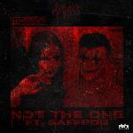 Not the One (feat. Saffron)