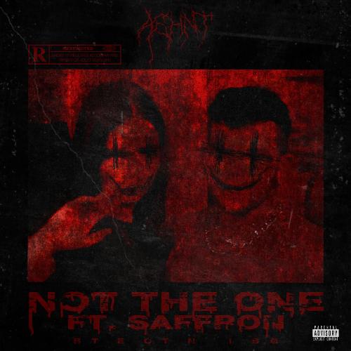 Not the One (feat. Saffron)_poster_image