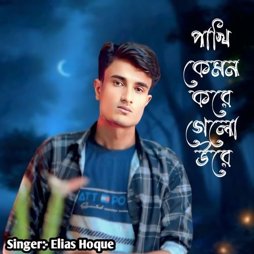 Pakhi Kemon Kore Gelo Ure