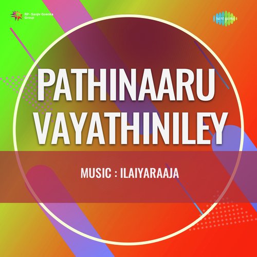 Pathinaaru Vayathiniley