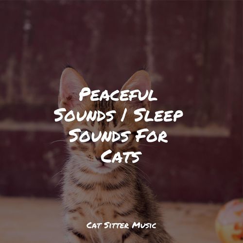 Peaceful Sounds | Sleep Sounds For Cats_poster_image