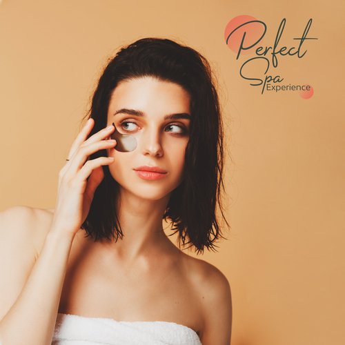 Spa Experience cover art