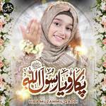 Pukaro Ya Rassol Allah