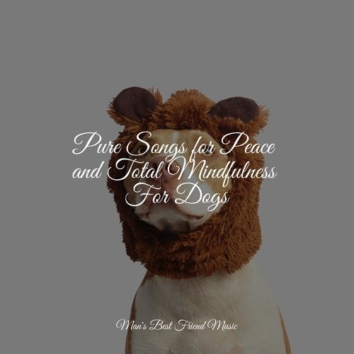 Pure Songs for Peace and Total Mindfulness For Dogs_poster_image