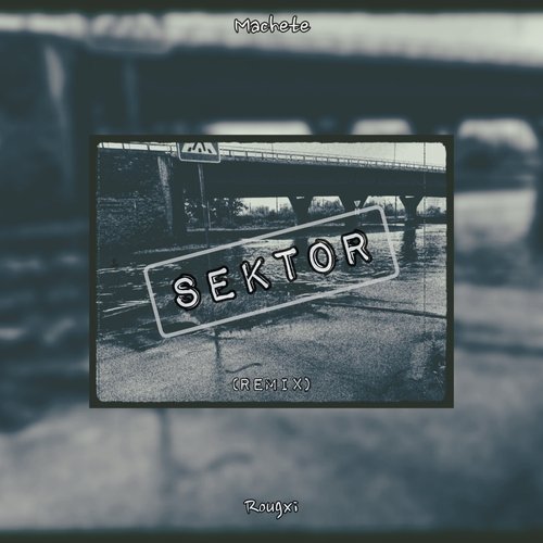 Sektor (Remix)_poster_image