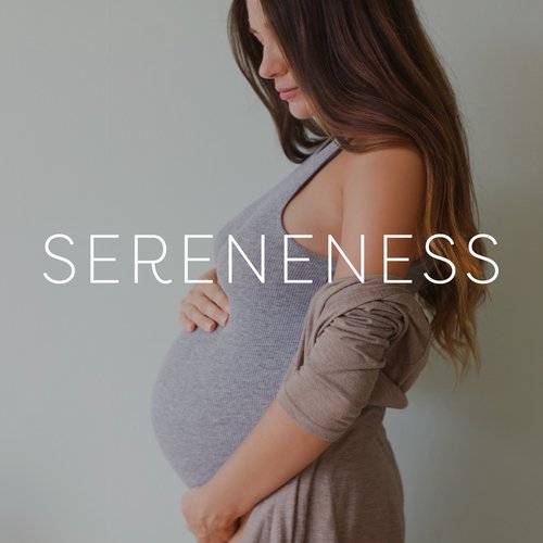 Sereneness: Quiet Moments for You and Your Baby_poster_image