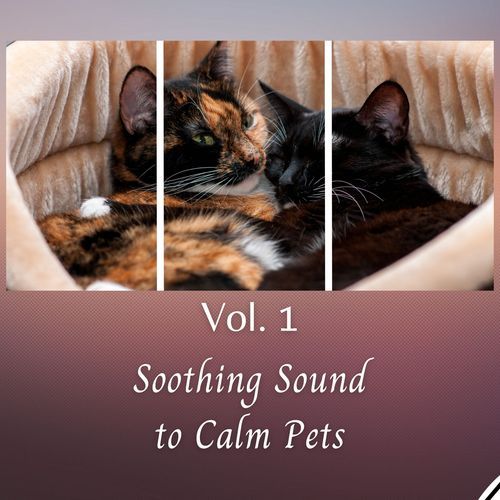 Soothing Sound to Calm Pets Vol. 1_poster_image