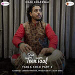 Tabla Solo Drut Teen Taal