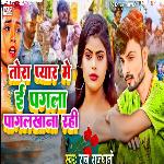 Tora Pyar Me E Pagla Pagalkhana Rahi