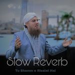 Tu Shamm e Risalat Hai (Remix)