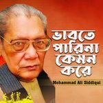 Vabte Parina Kemon Kore