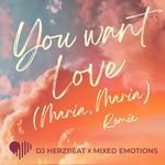 You Want Love (Maria, Maria) (Remix)