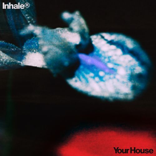 Your House_poster_image