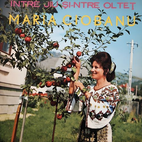 Lie Ciocârlie cover art