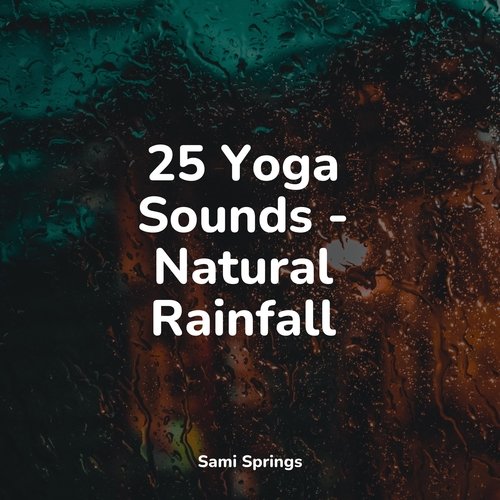 Rain, Storm and Thunder cover art