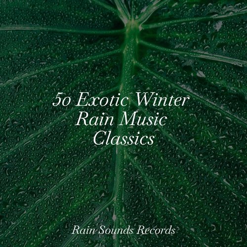 50 Exotic Winter Rain Music Classics