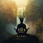 Radiate Insight (Instrumental) artwork