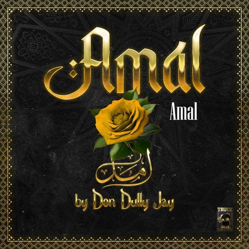 Amal cover art