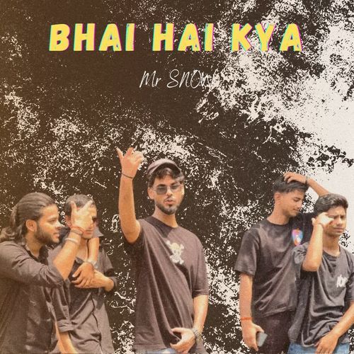 BHAI HAI KYA