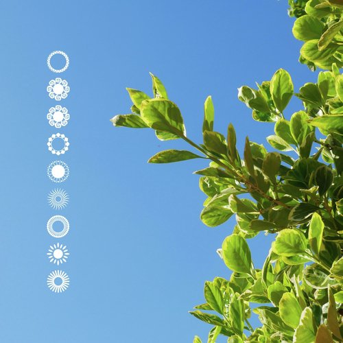 Glen cover art