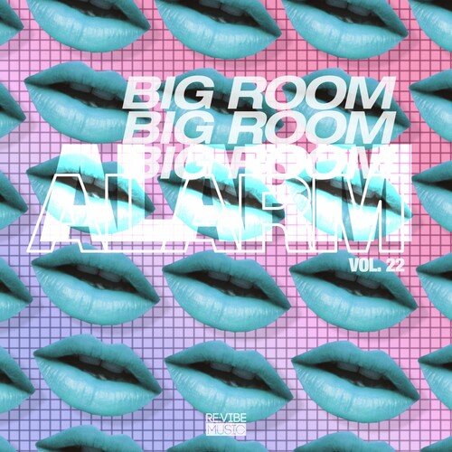 Big Room Alarm, Vol. 22