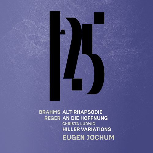 Reger: Variations and Fugue on a Theme by Johann Adam Hiller, Op. 100: Var. IX. Allegro con spirito (Live)