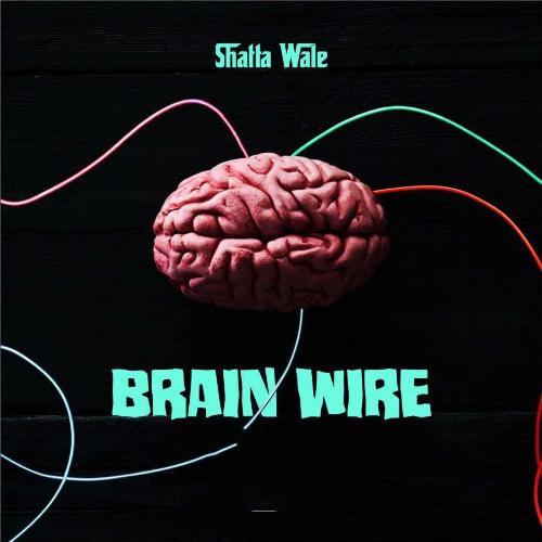 Brain Wire (Freestyle)