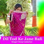 Dil Tod Ke Jane Bali