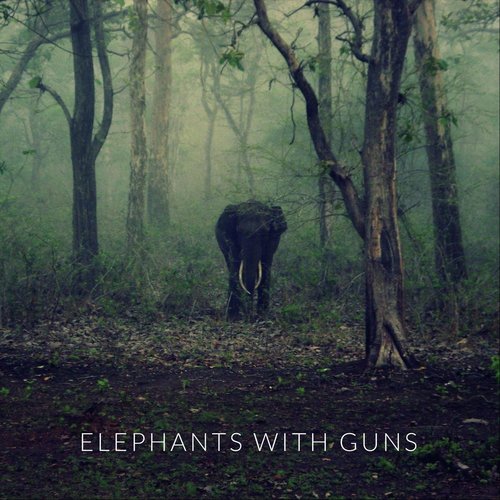 Elephants with Guns