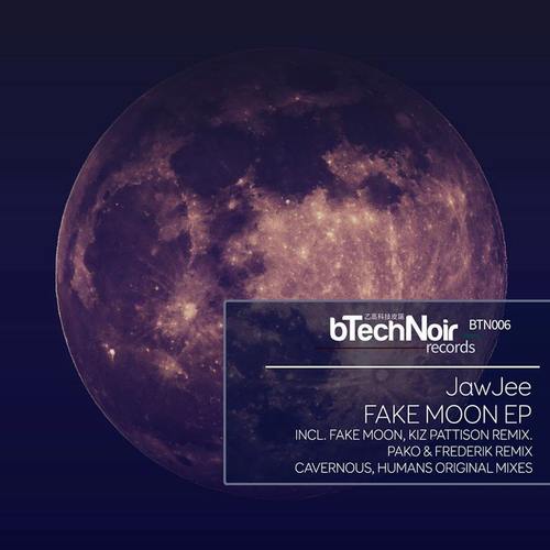 Fake Moon