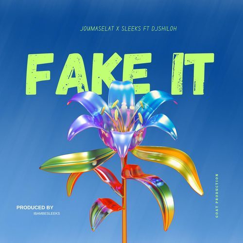 Fake it (feat. Dj Shiloh)