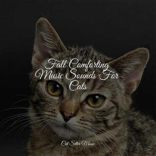 Fall Comforting Music Sounds For Cats_poster_image