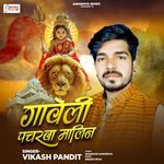 Gaweli Pacharwa Malin