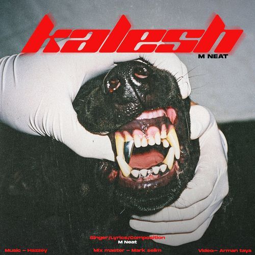 Kalesh