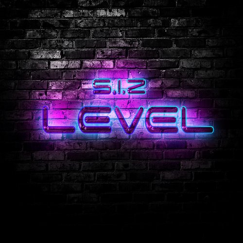 Level_poster_image