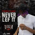 Never Lef It (Radio Edit)