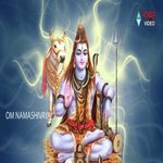 Om Sri Shivaya