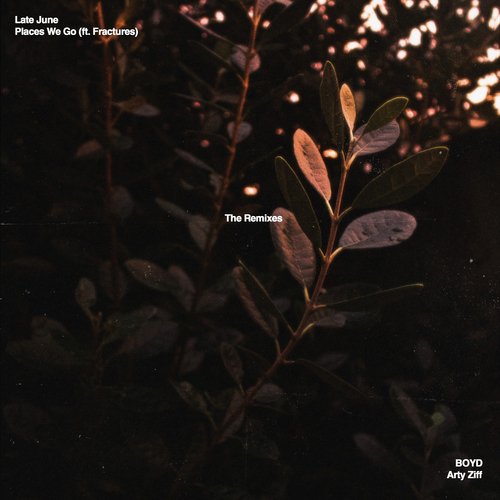 Places We Go - The Remixes