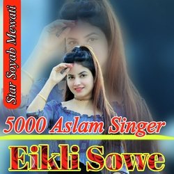 SR 5000 Aslam Singer-FycbHBVCX1Q