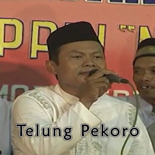 Telung Pekoro cover art